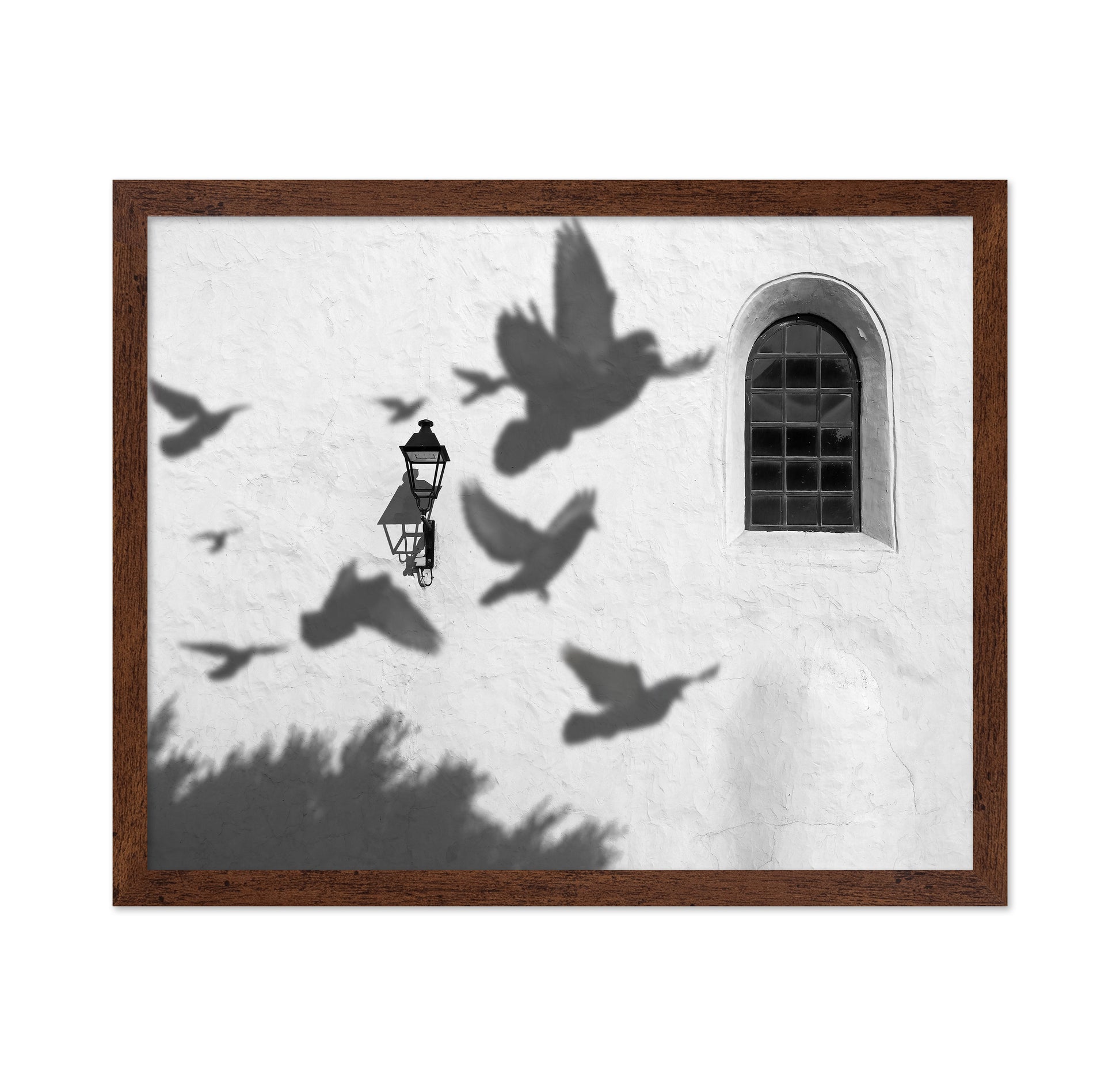 Birds in Shadow