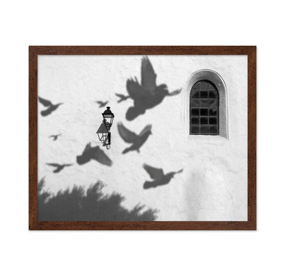 Birds in Shadow