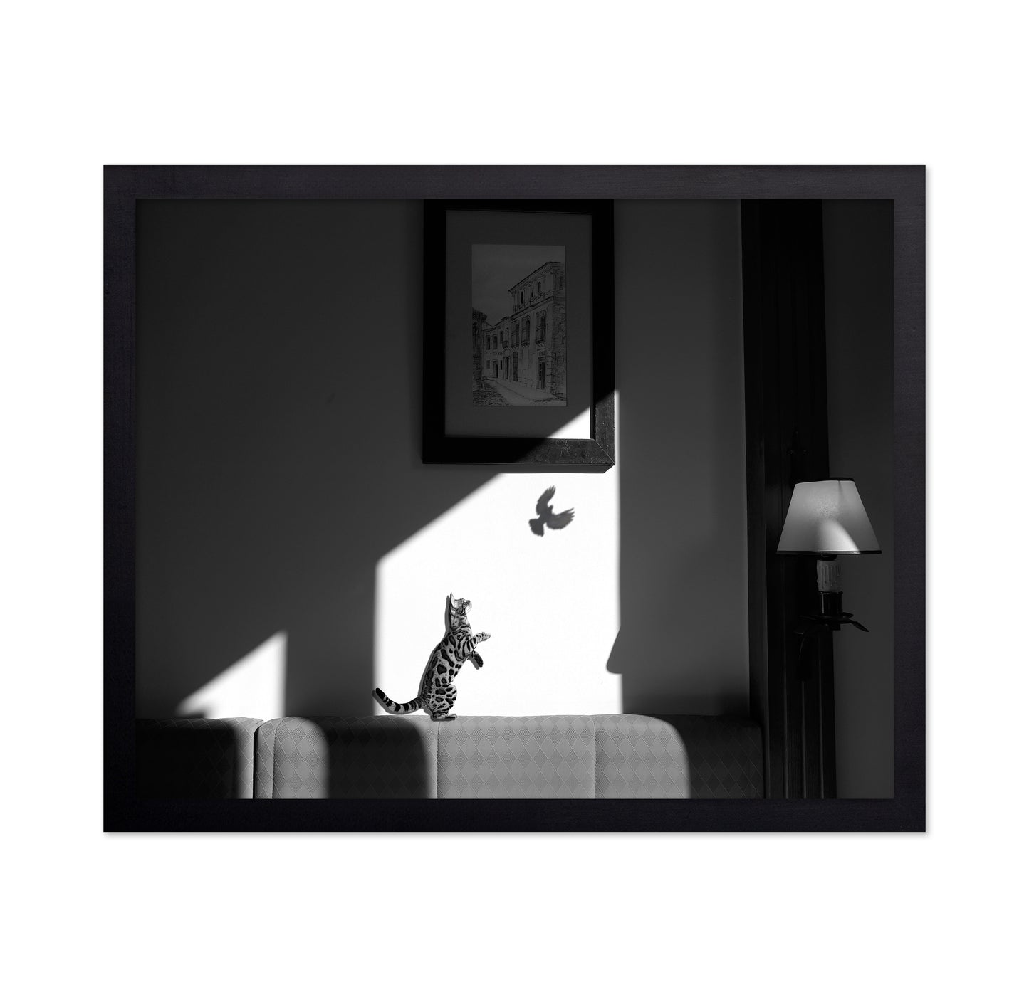 Virtual Capture