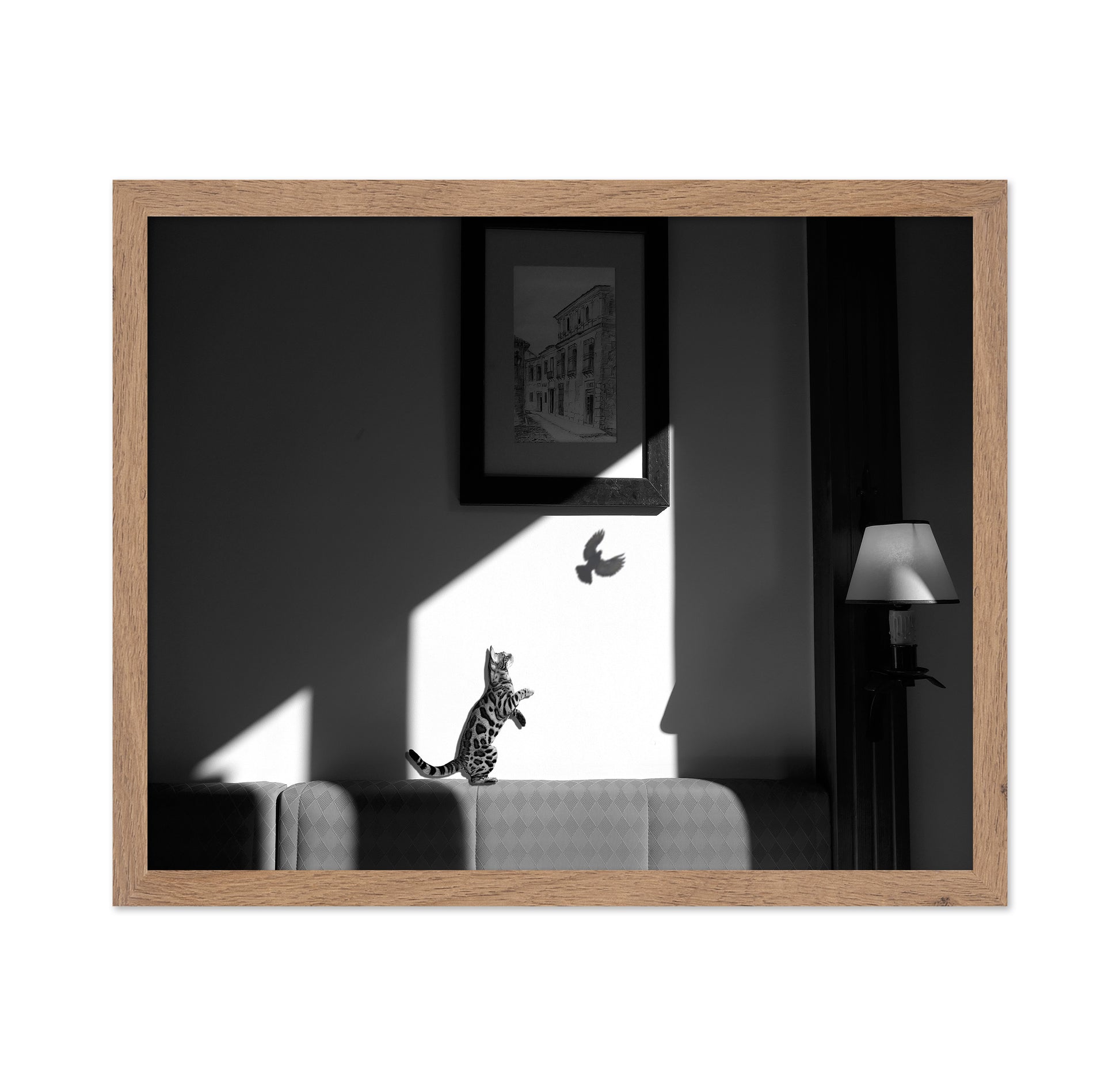 Virtual Capture
