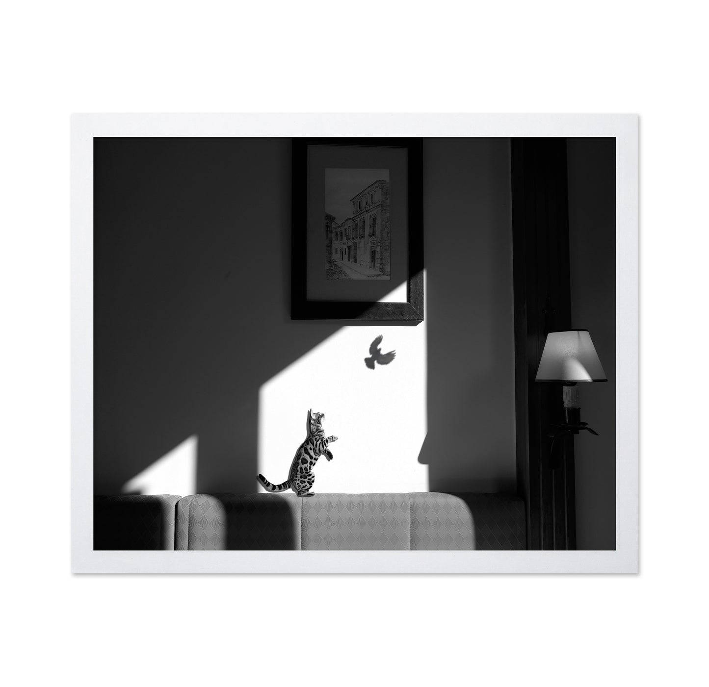Virtual Capture