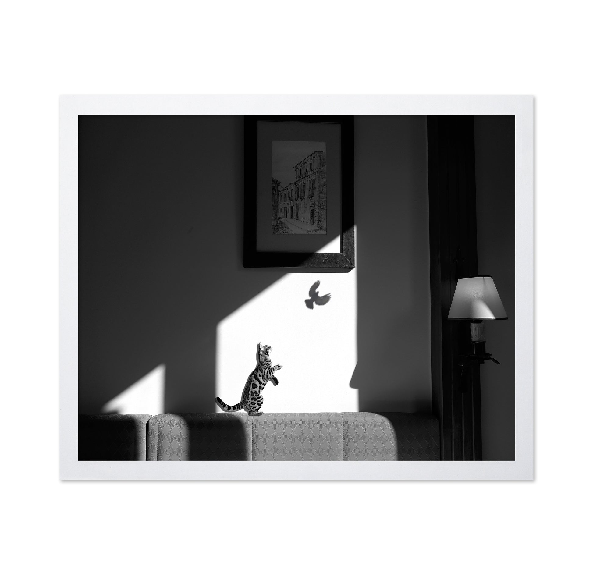 Virtual Capture