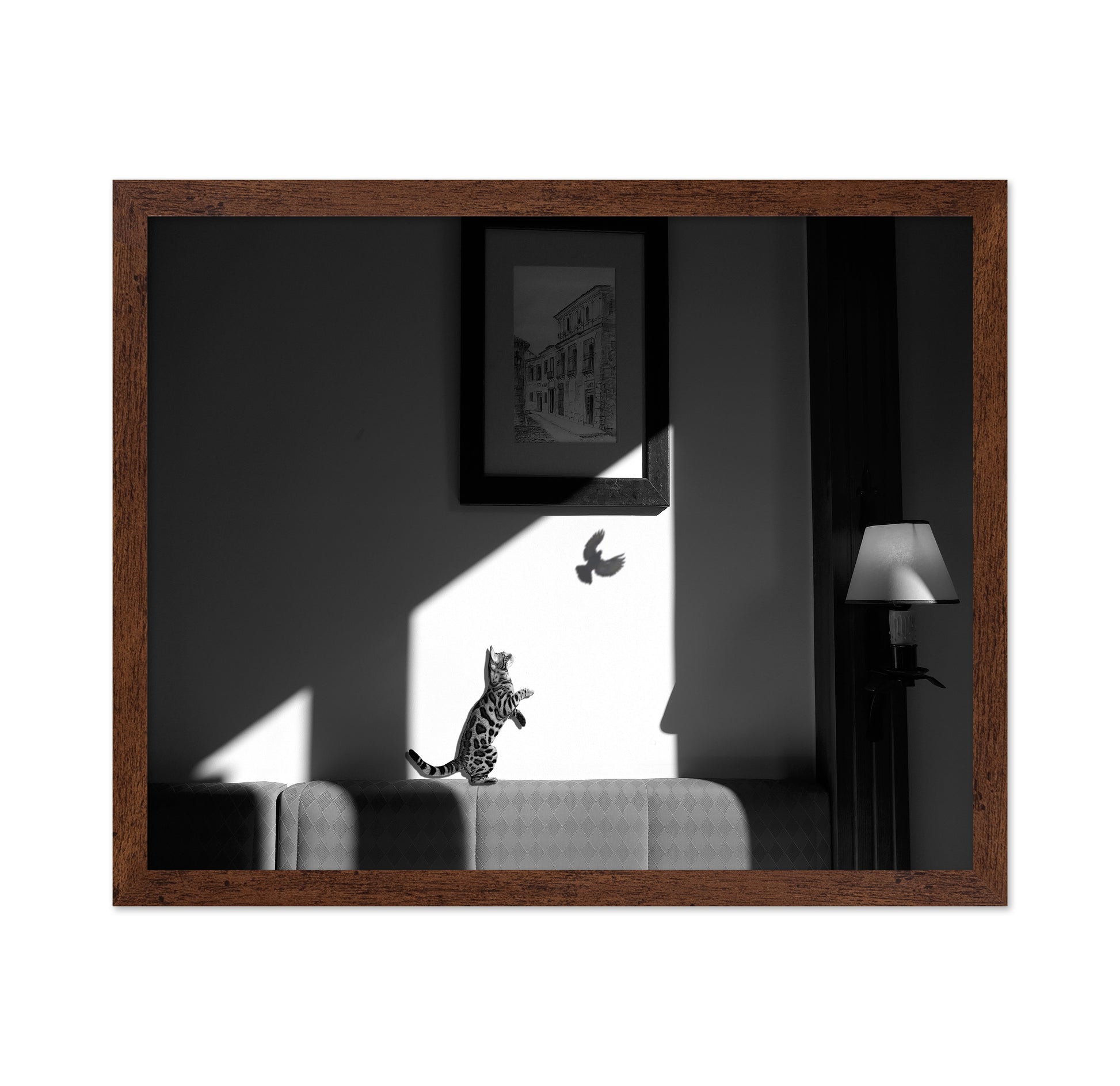 Virtual Capture