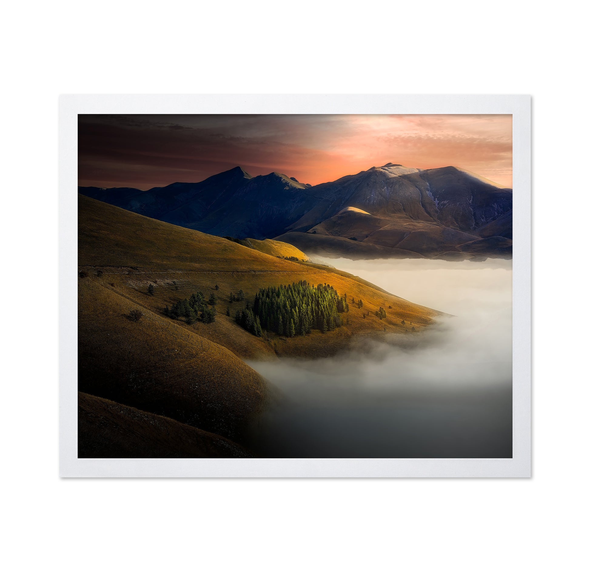 Golden Hills