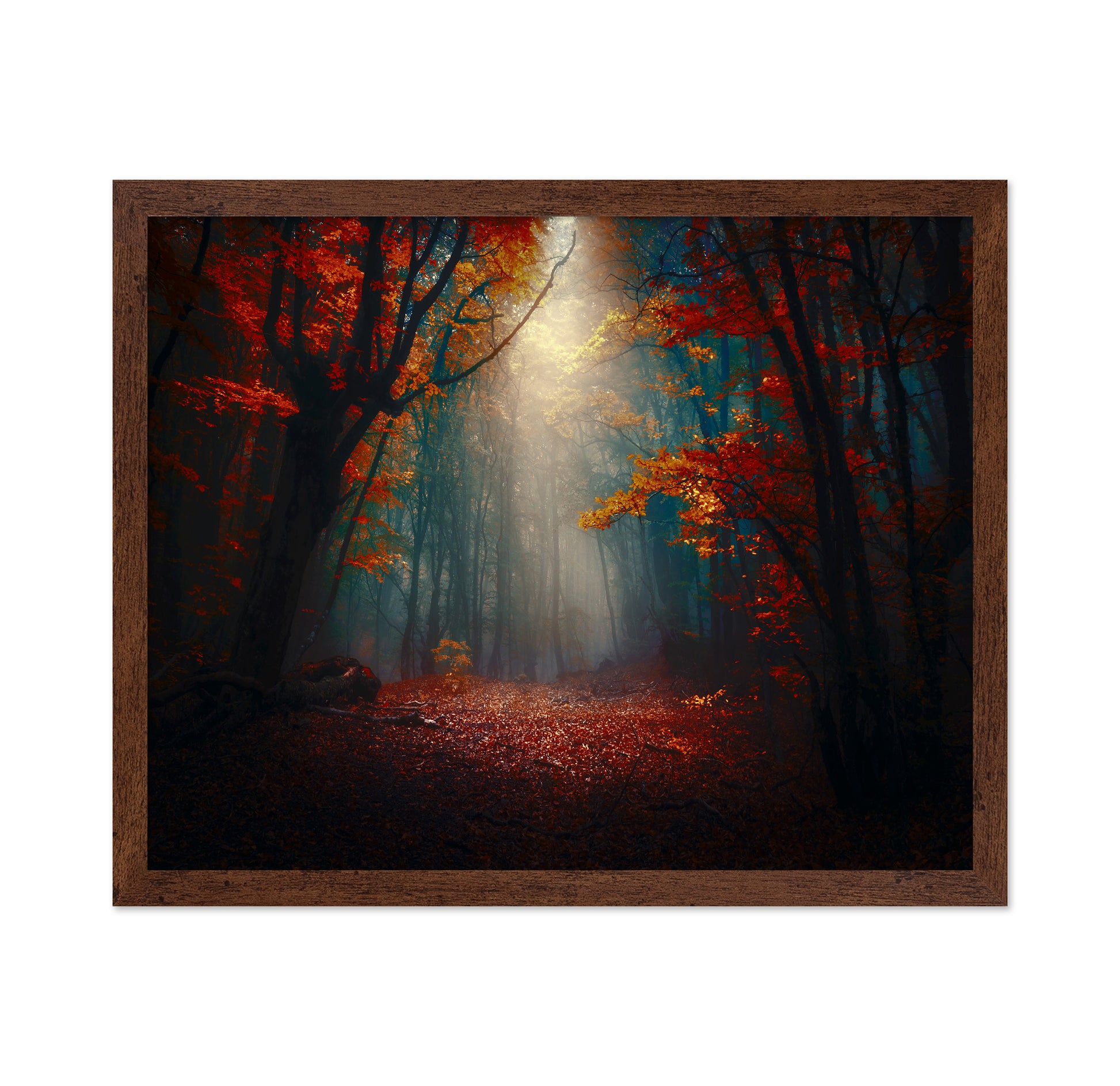 Sunset In The Forest