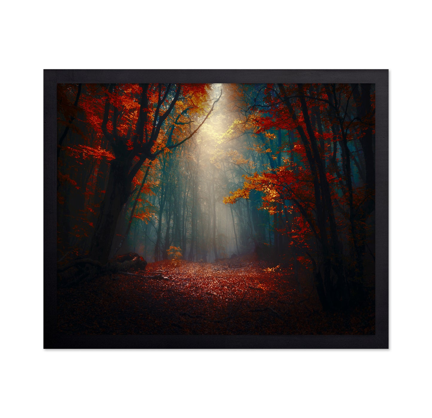 Sunset In The Forest