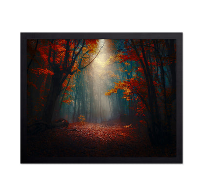 Sunset In The Forest
