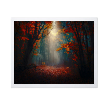 Sunset In The Forest