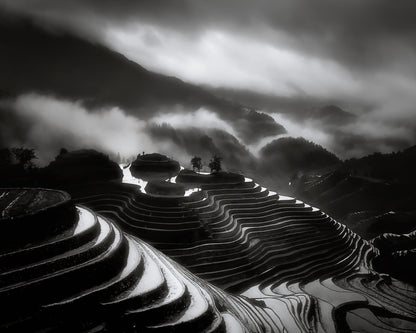 The Terraced Fields