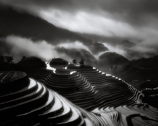 The Terraced Fields