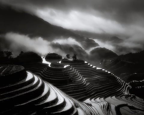 The Terraced Fields