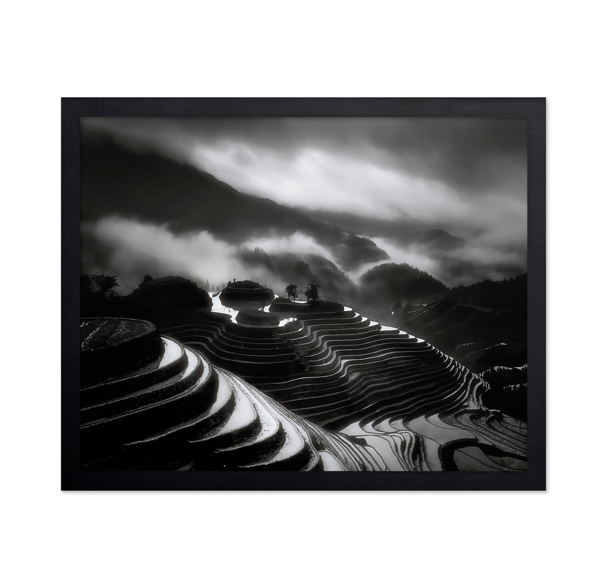 The Terraced Fields