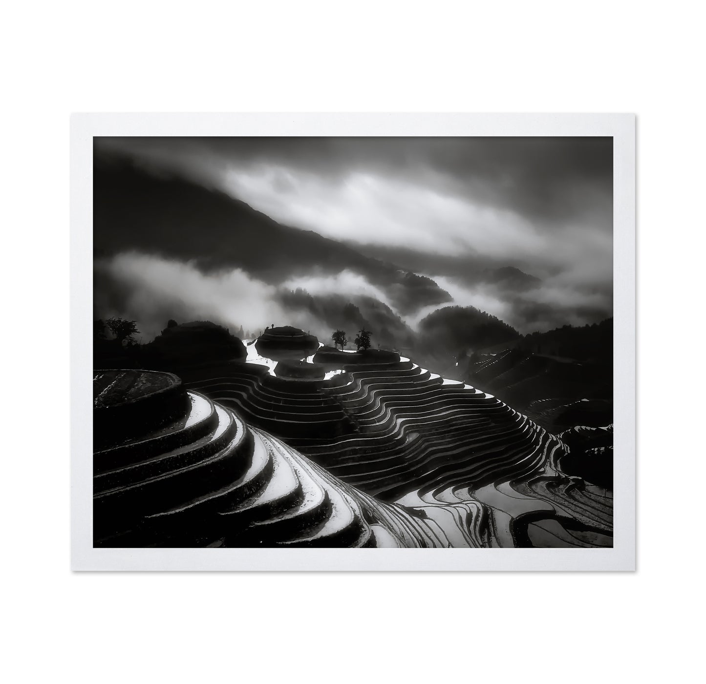 The Terraced Fields