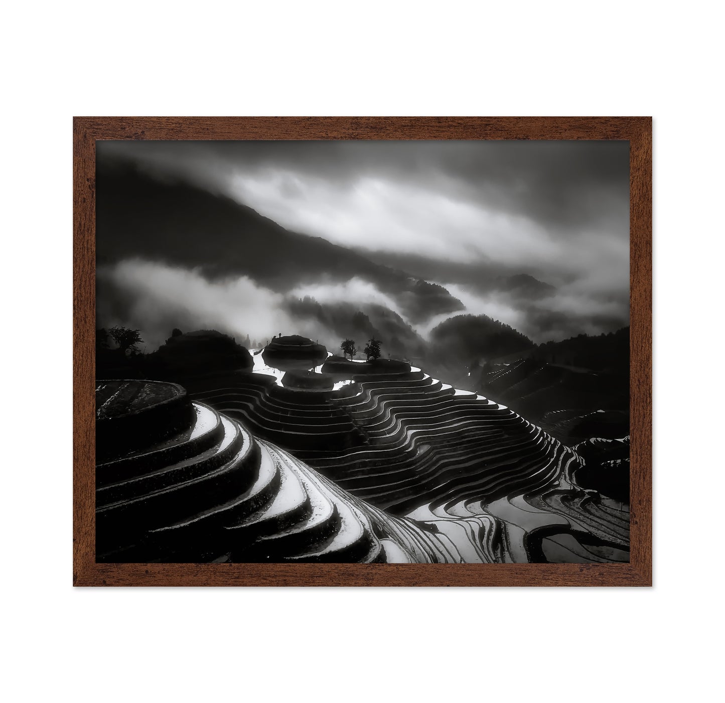 The Terraced Fields