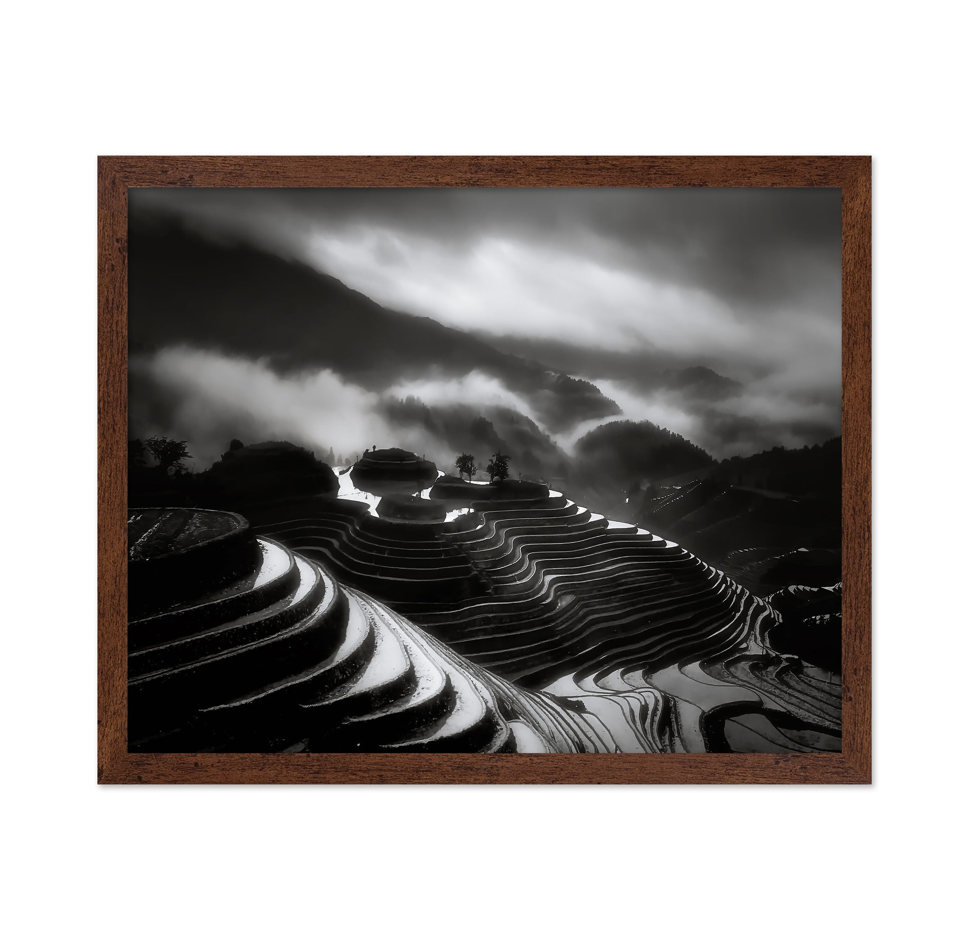 The Terraced Fields