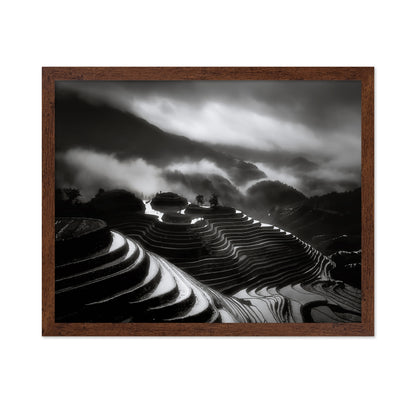 The Terraced Fields
