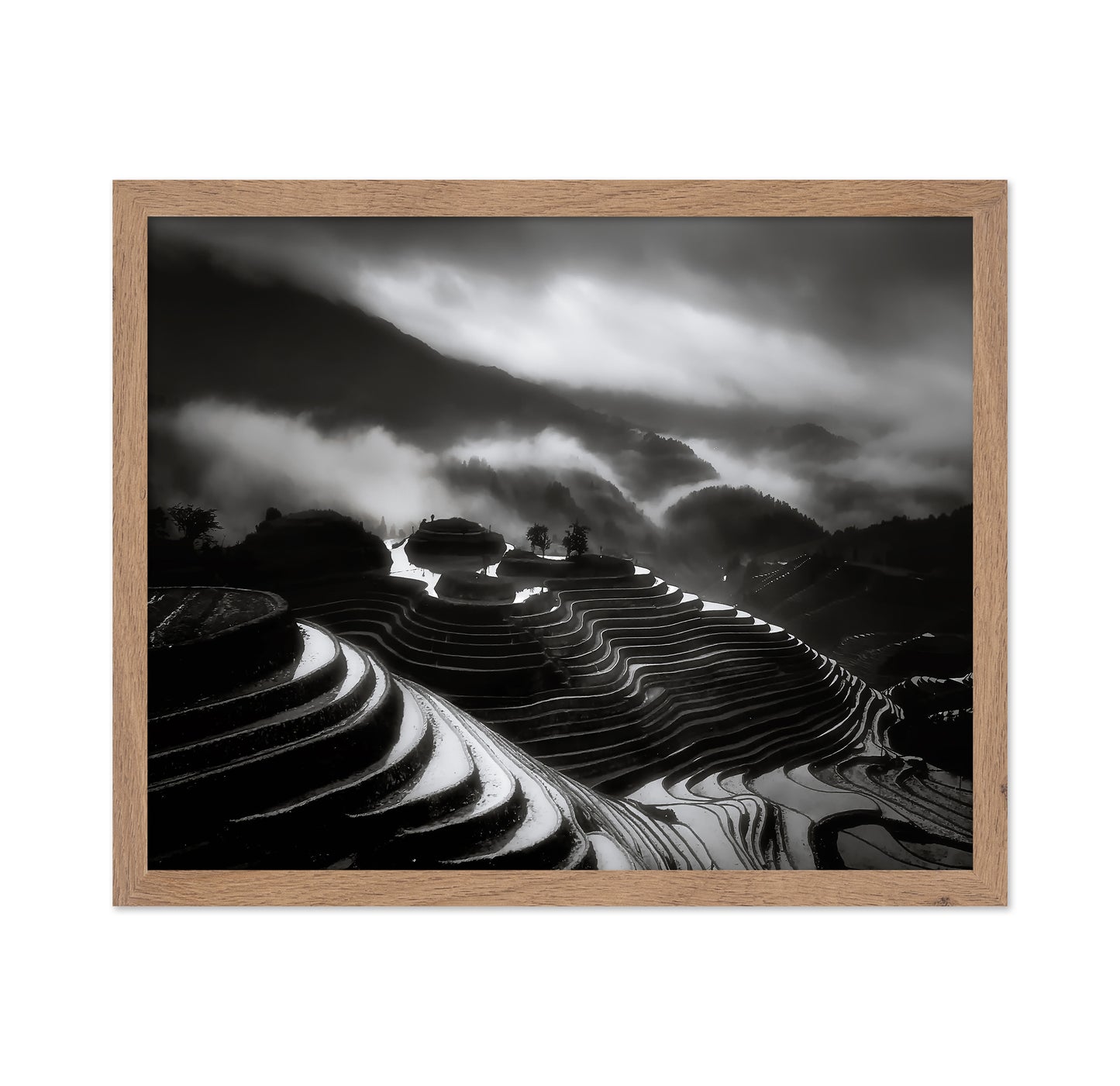 The Terraced Fields