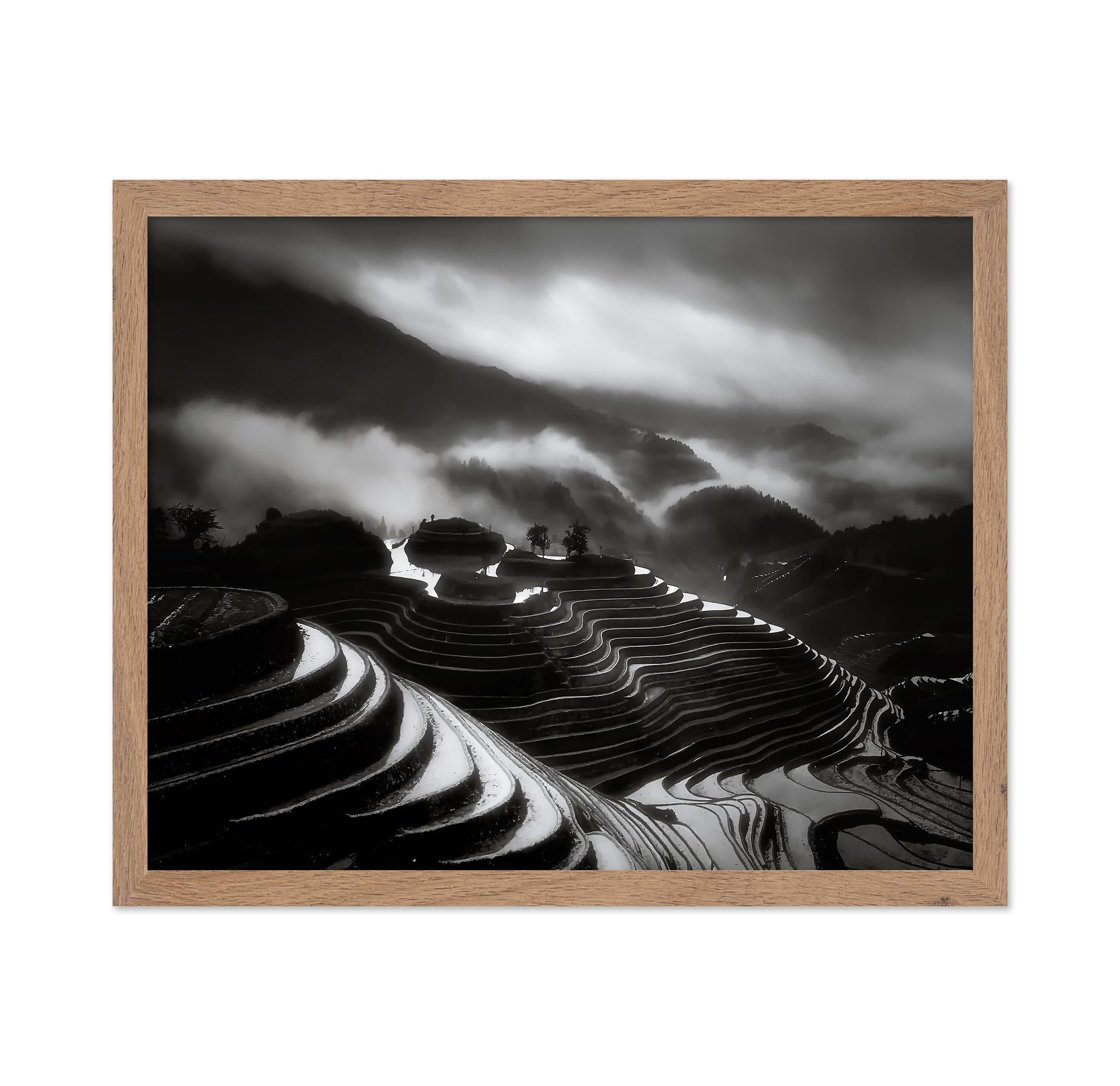 The Terraced Fields