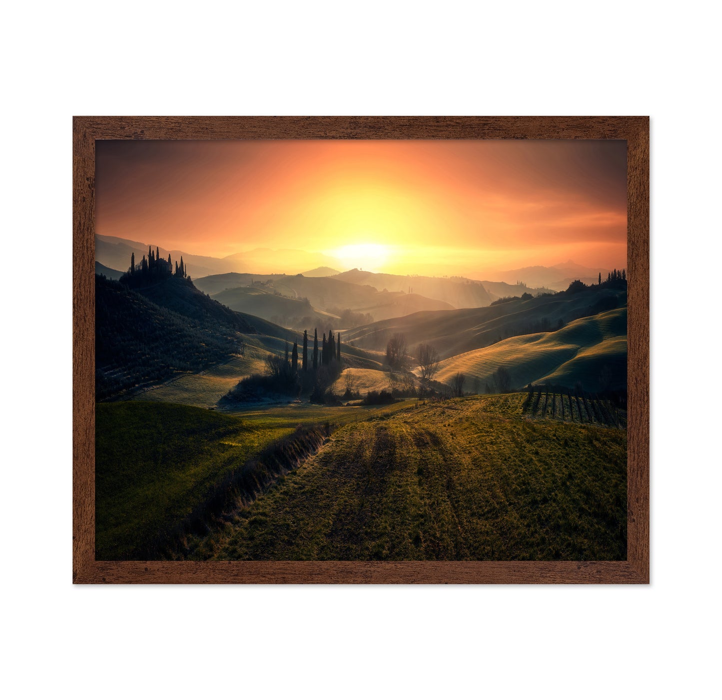 Val D'Orcia In The Morning
