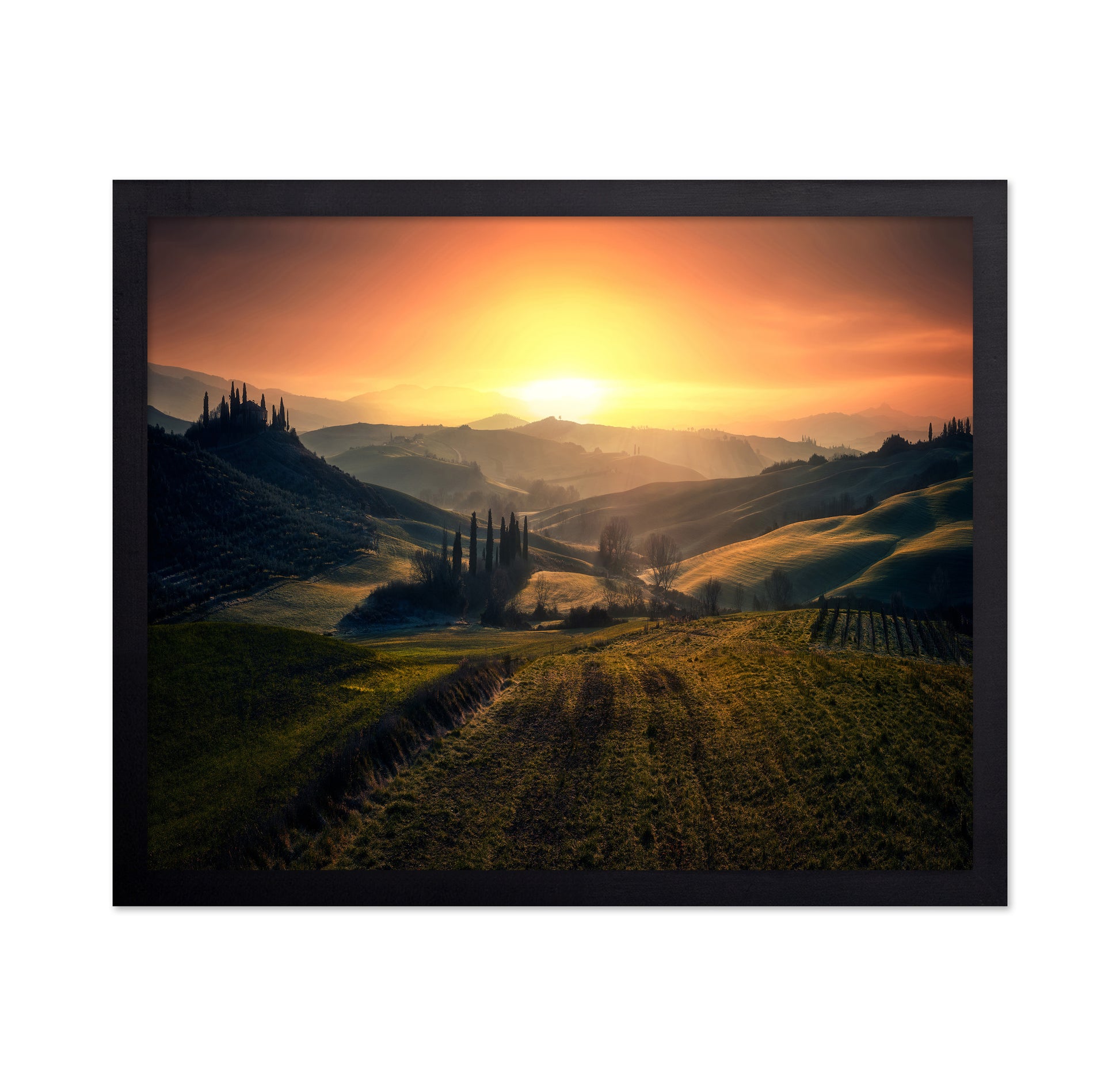 Val D'Orcia In The Morning