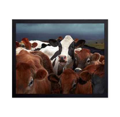 Laughing Cow