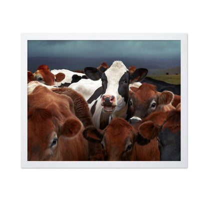 Laughing Cow