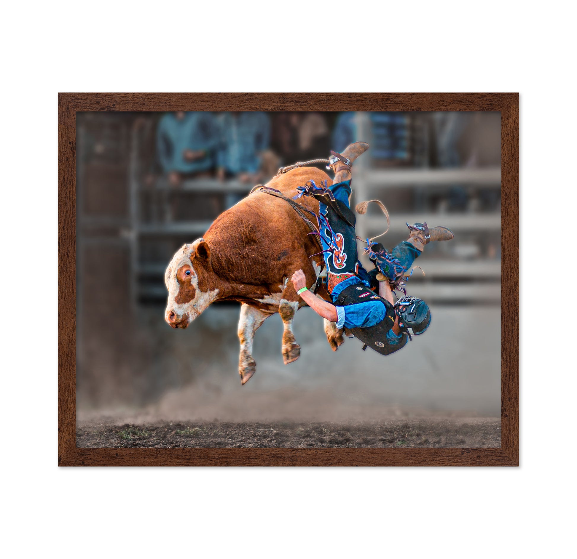 Bull Riding