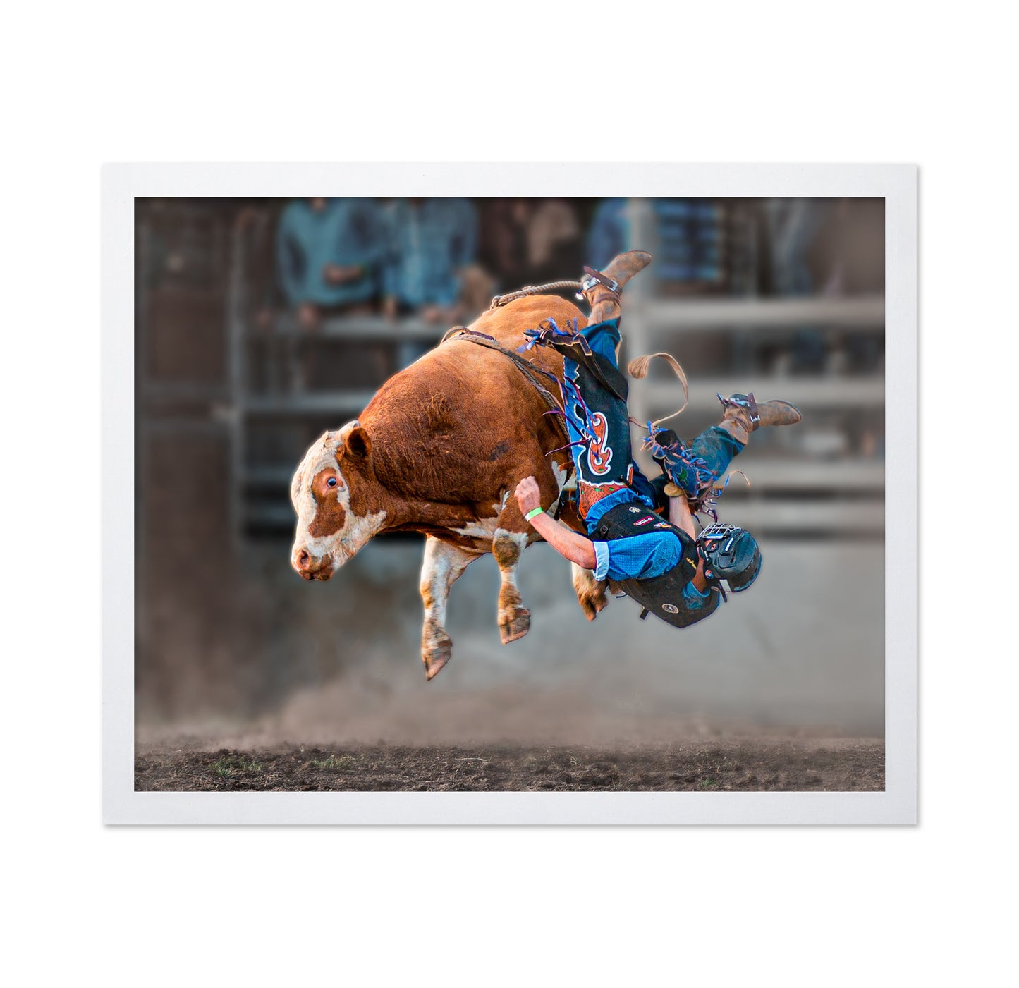 Bull Riding
