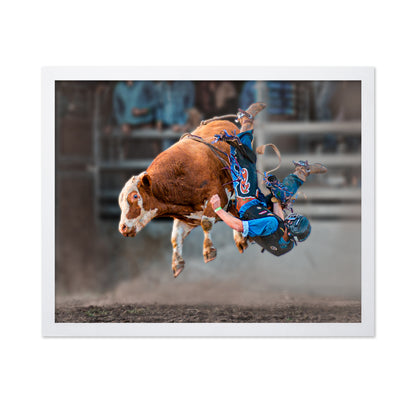 Bull Riding