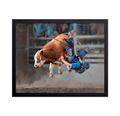 Bull Riding