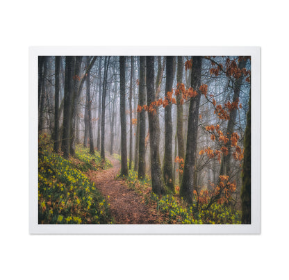 Misty Morning No 2