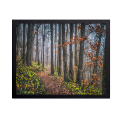 Misty Morning No 2
