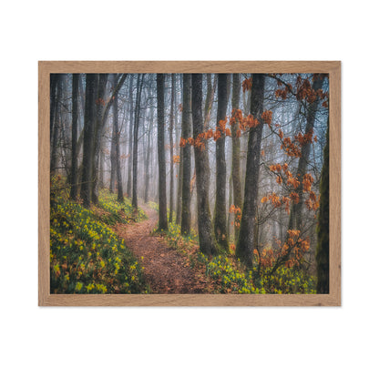 Misty Morning No 2