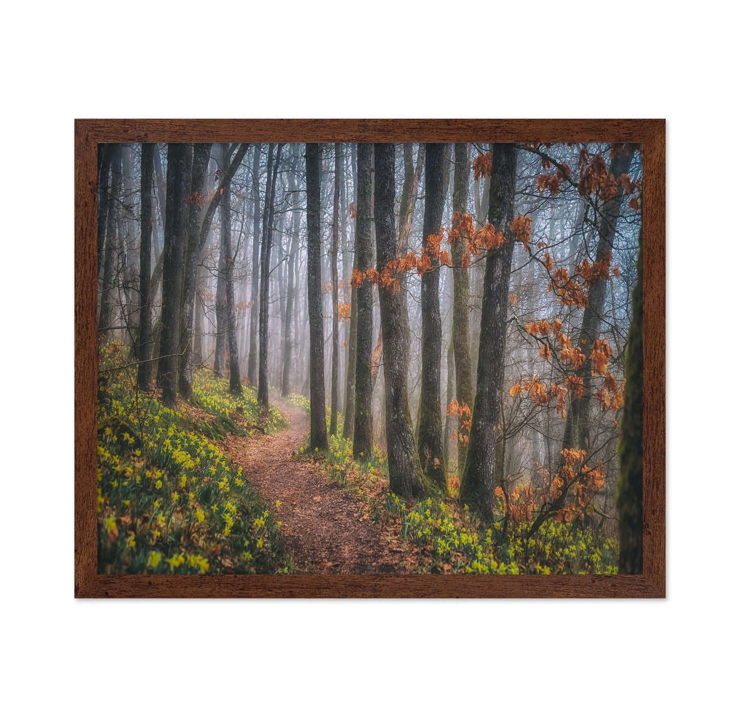Misty Morning No 2