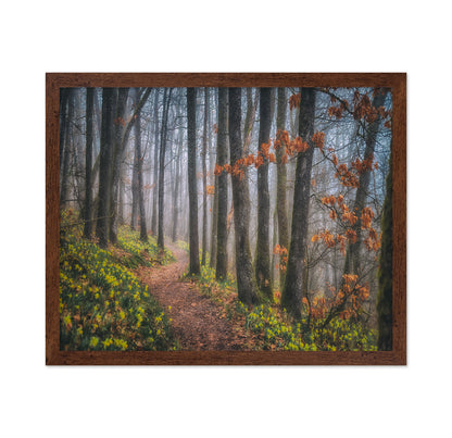 Misty Morning No 2