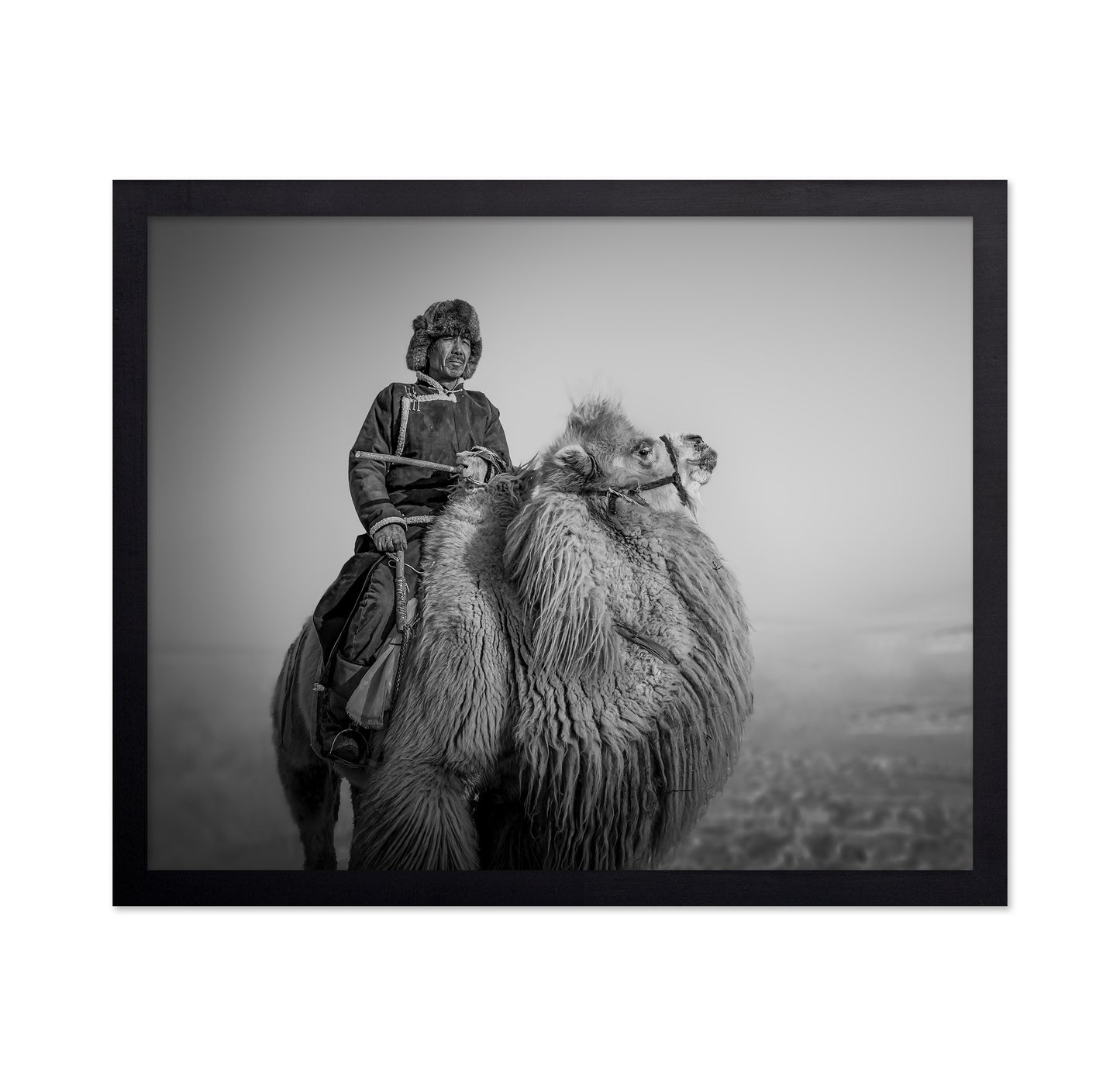Farmer And His Camel