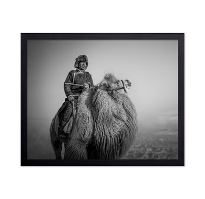 Farmer And His Camel