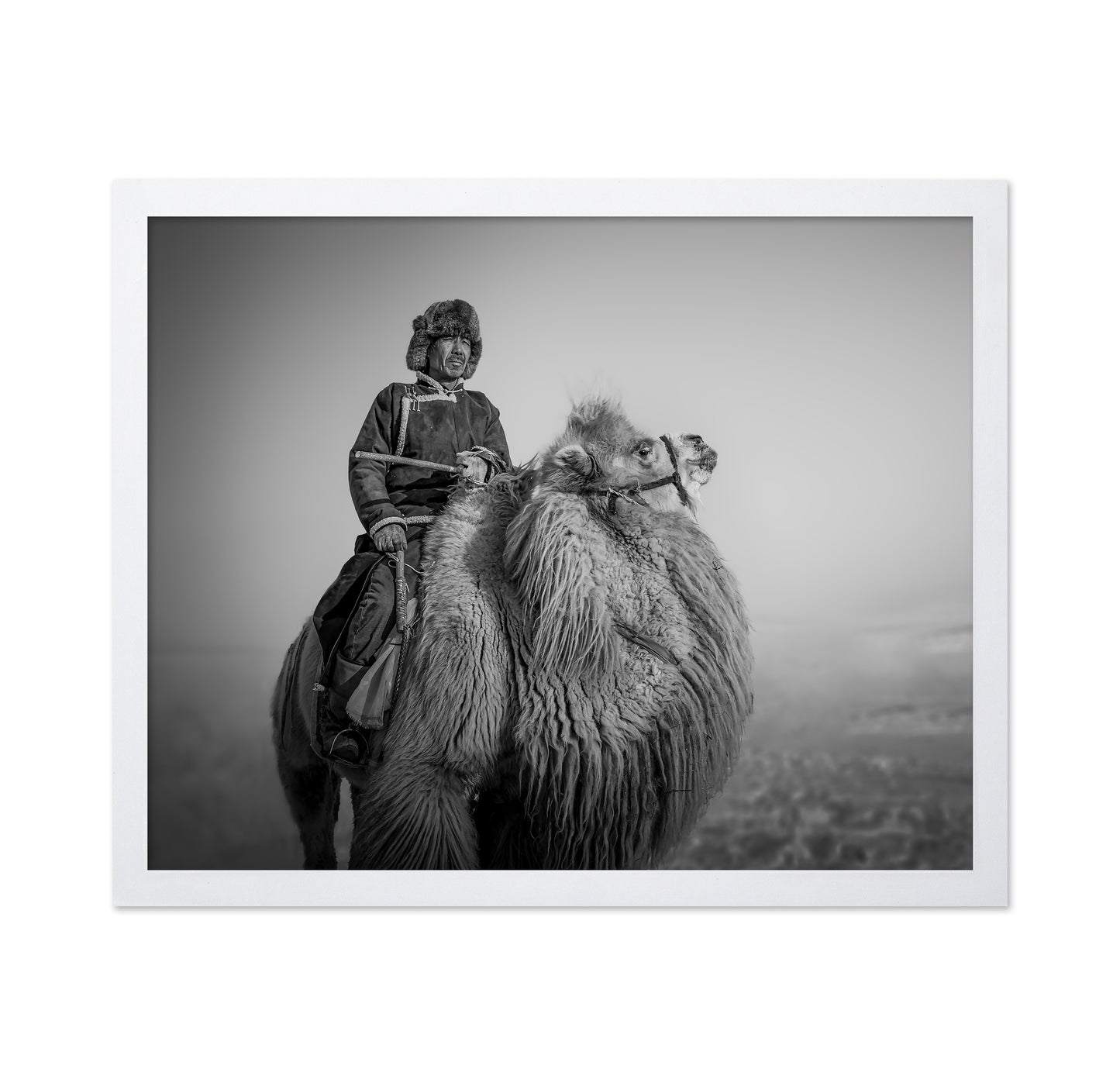 Farmer And His Camel
