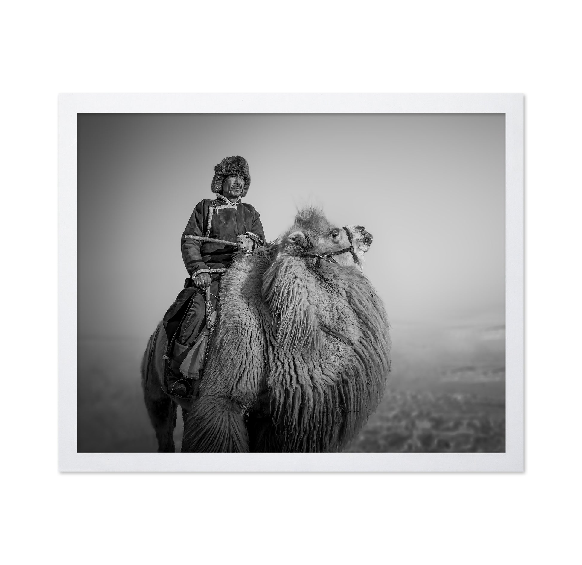 Farmer And His Camel