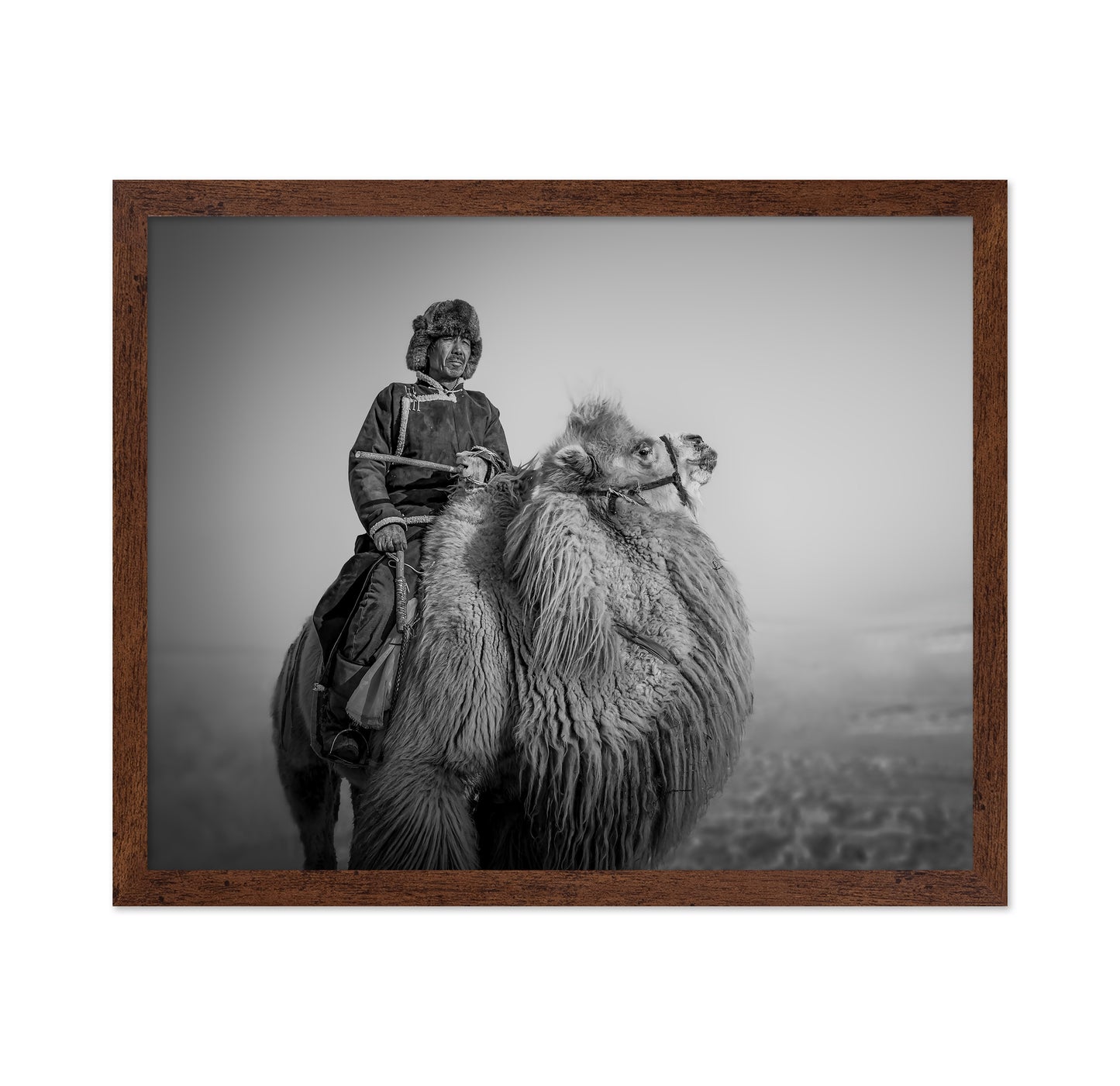 Farmer And His Camel