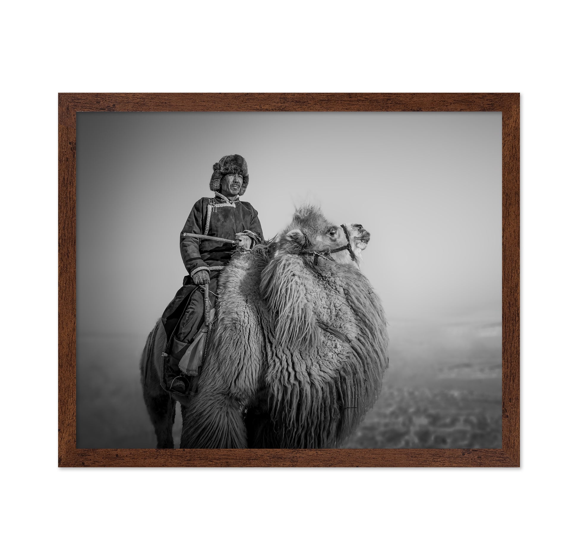 Farmer And His Camel