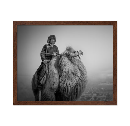 Farmer And His Camel