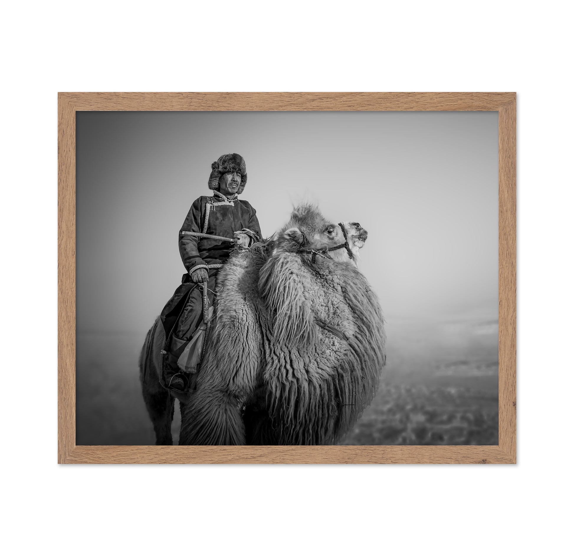 Farmer And His Camel
