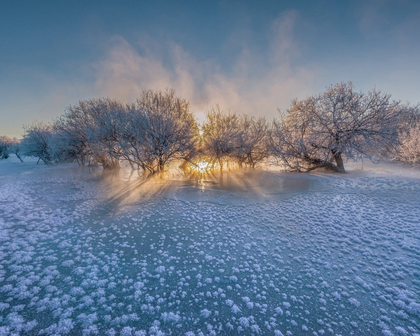 Frozen Glow