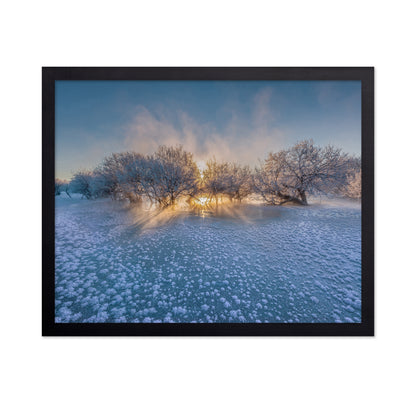Frozen Glow