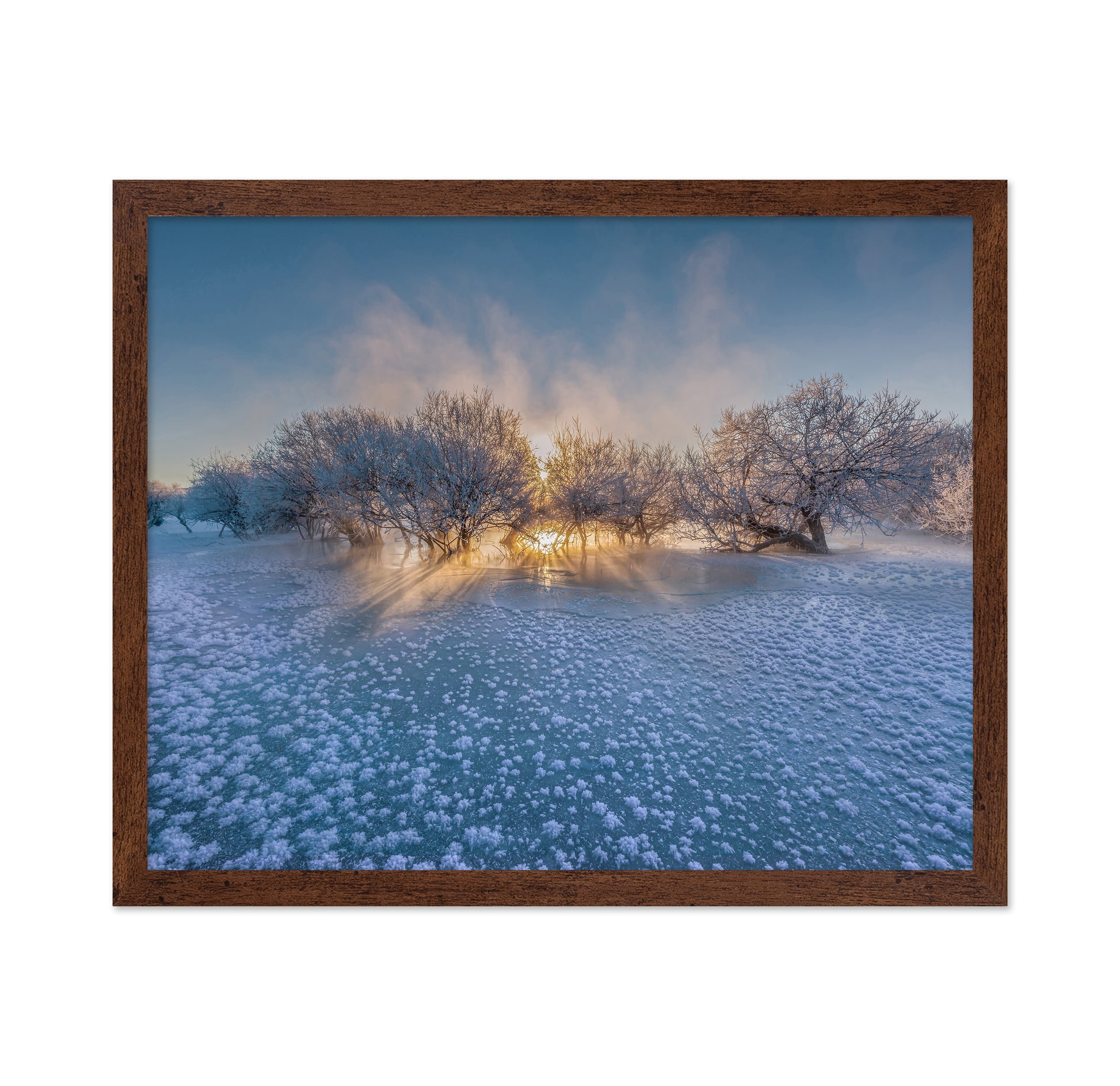 Frozen Glow