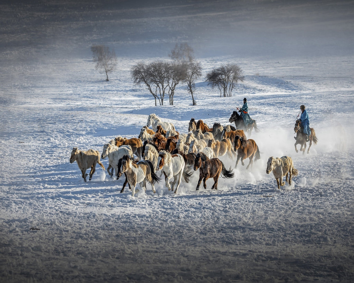 Galloping Horses