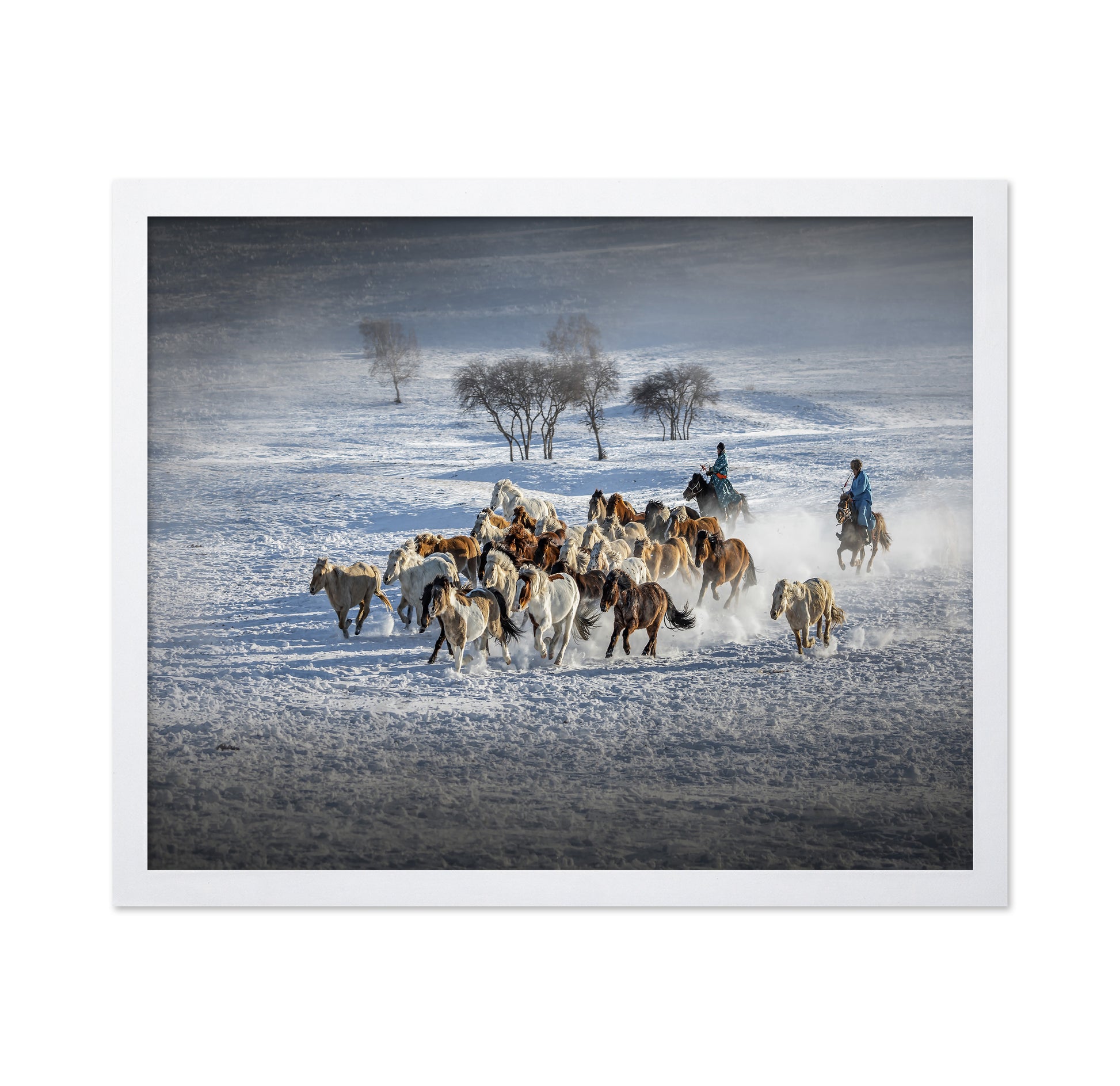Galloping Horses