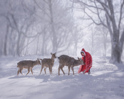 Whispers Of Winter