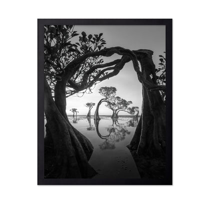 Willow Arc